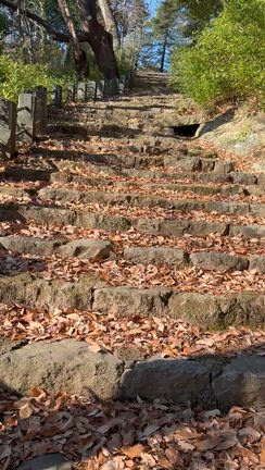 久しぶりの信夫山ウォーキング。の記事動画