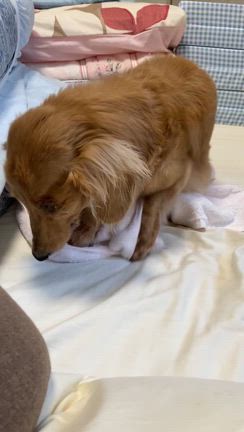 気づいてやれなくての記事動画