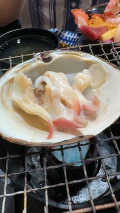 頭大仏殿の記事動画