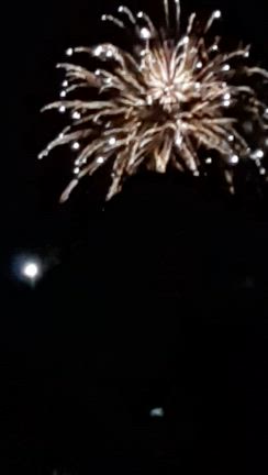 イノシシだって怖い！の記事動画