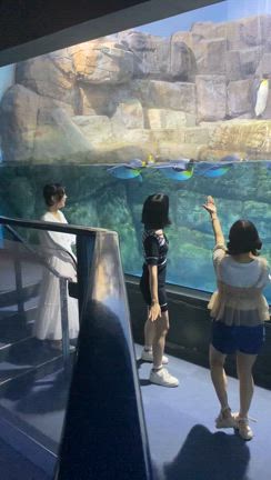 思い出！蜂須賀ゆずの記事動画