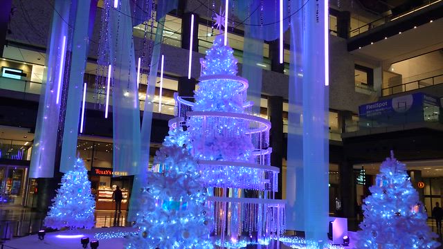 大阪ひとりたび　～その５(最終回)　クリスマスツリーとイルミネーションと、小さな成功との記事動画