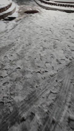 命懸けの記事動画