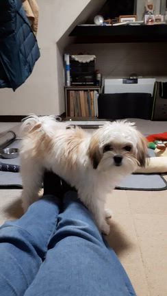 MOCOちゃんの変な癖の記事動画