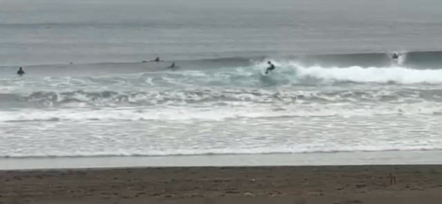 最高のクリスマス for Surfersの記事動画