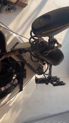 11月の釣り‼️の記事動画