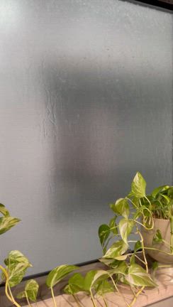 休肝日の記事動画