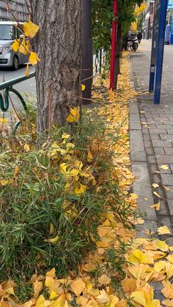 バッグまでグレーコーデの仲間にの記事動画