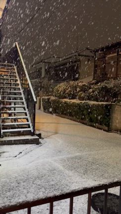 雪降ってるよーの記事動画