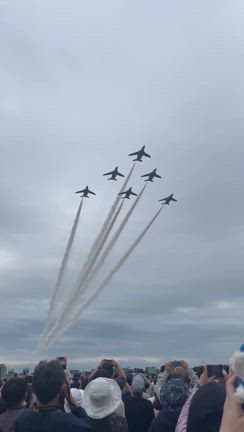 桜沙。。。仲人のつぶやき！その219 婚活って？の記事動画