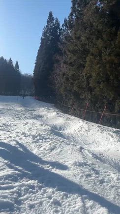 めいほうスキーの記事動画