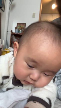 元気すぎる男の子の孫とばぁばの体力事情(u_u)の記事動画