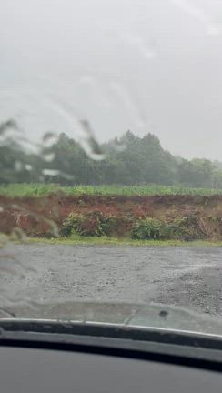 ８月７日9時オープンの記事動画