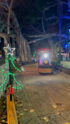 今年から始まった新しい場所でのHonolulu City Lights♪の記事動画