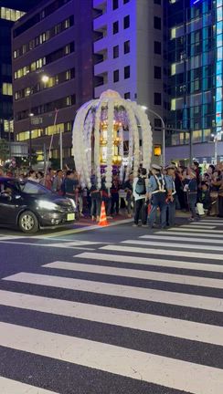 雑司が谷鬼子母神の御会式の記事動画