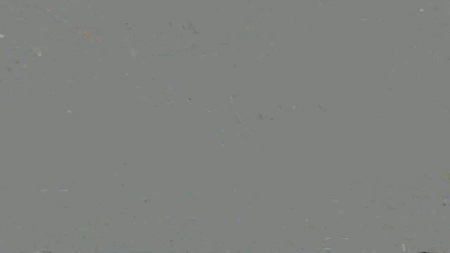 無形文化遺産の素晴らしさに触れた日／いくつになってもの記事動画