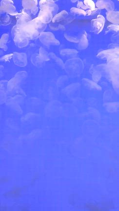 日帰り旅行ラスト！の記事動画