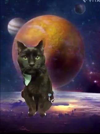 10月後半近況報告（著者近影）の記事動画