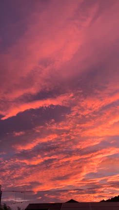 2025.7.18 朝焼けとサナギの記事動画