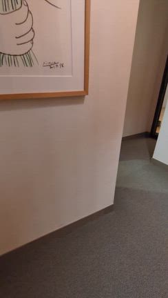 夏瀬温泉　都わすれ　草笛　部屋編の記事動画