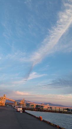 龍神様のエールの記事動画