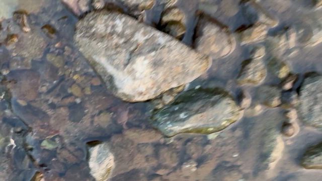 夏祭りとの記事動画