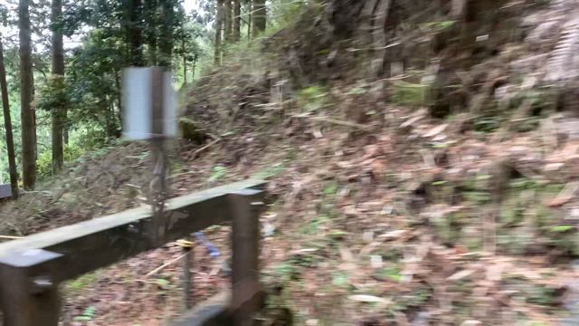 坂本ケーブルの記事動画