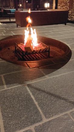 2025 10 ポトス　メダカ　料理　癒され空間の記事動画