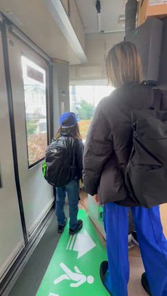 兄弟ゲンカと次男の攻撃で…ツリーを諦めた12月の物語の記事動画