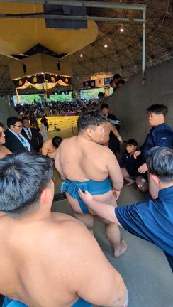 全国学生相撲選手権大会の結果報告の記事動画