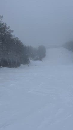 菅平パインビークスキー場　家族連れに優しいコース！の記事動画