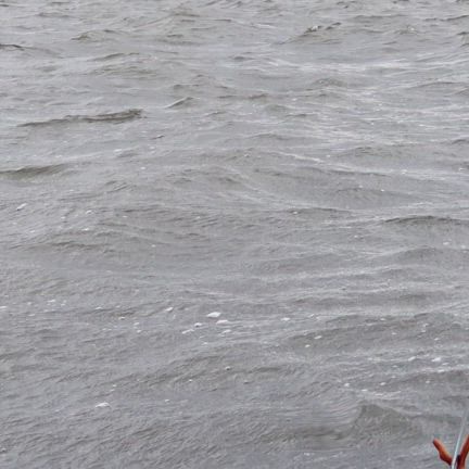 ３月４日、北浦。ぎりちょん、連勝！wの記事動画