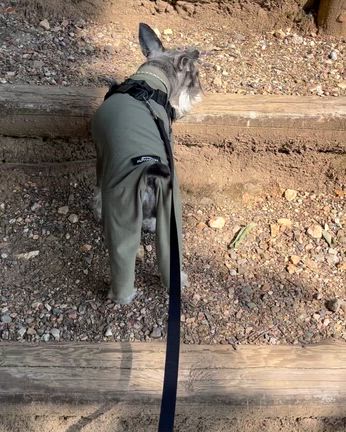 久しぶりの登山の記事動画