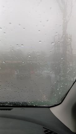 箱入りの記事動画