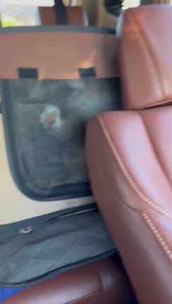 ミミちゃん、まじギレの記事動画