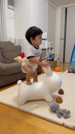 息子は犬が好き！の記事動画