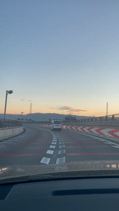 圧巻の美しさでした♡の記事動画