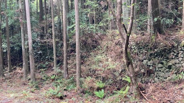 三山ひろしさん 576 春のふるさと！の記事動画