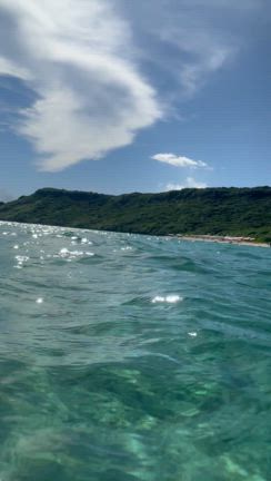 早朝から向かったウミガメに出会える人気ビーチの記事動画