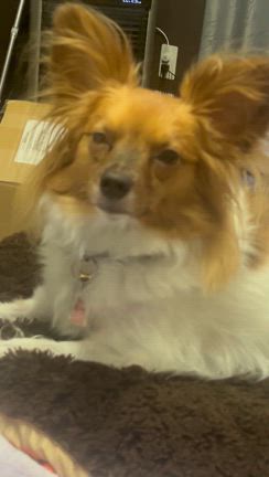 ❤︎今週のブログはくるみ店長✨＆出勤表❤︎の記事動画