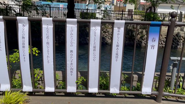 前橋のアートと文学散歩の記事動画