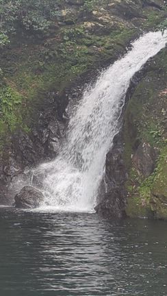 奄美大島の旅⑤（マテリアの滝は神秘的）の記事動画