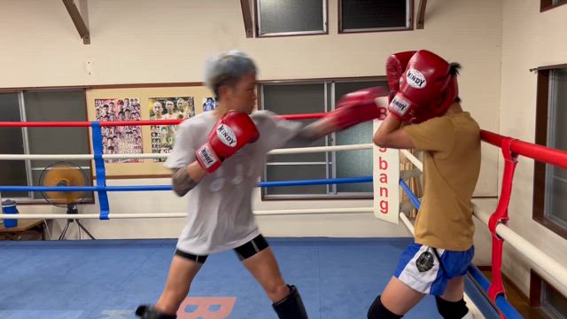 勝負の8月の記事動画