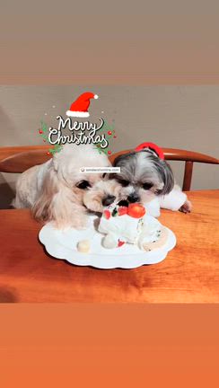 HAPPY Merry Christmasの記事動画