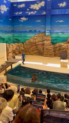 鳥羽水族館の記事動画