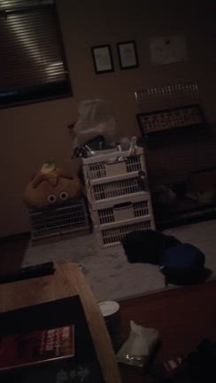 2/13 電気を消すと部屋ンポしたがるLampの記事動画