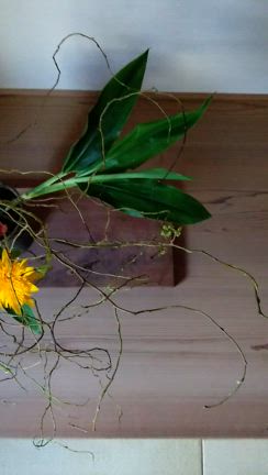 10月のお花（その3）雲竜柳 | 京都・宇治 生け花よもやま話