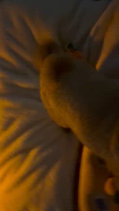 朝のルーティンの記事動画