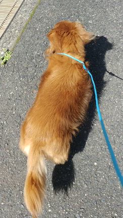 紫外線対策してくださいね。の記事動画