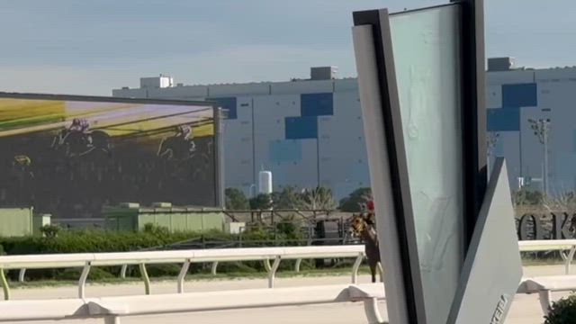 ヘスペリス大井新馬戦快勝！の記事動画